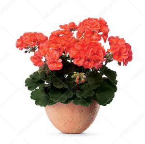 مجموعه تصاویر دوربری دفاع مقدسی و شهدایی PNG مجموعه تصاویر دوربری دفاع مقدسی و شهدایی PNG برای چاپ و طراحی طرح لایه باز هفته دفاع مقدس