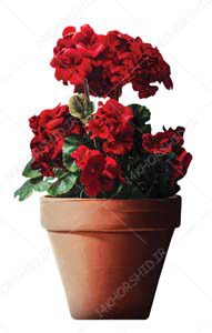 مجموعه تصاویر دوربری دفاع مقدسی و شهدایی PNG مجموعه تصاویر دوربری دفاع مقدسی و شهدایی PNG برای چاپ و طراحی طرح لایه باز هفته دفاع مقدس