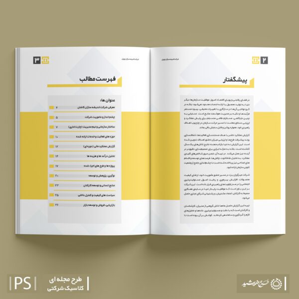 قالب آماده گزارش عملکرد لایه باز برای شرکت ها و ادارات برای چاپ و طراحی گزارش عملکرد لایه باز