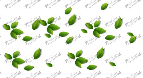 طرح برگ سبز لایه باز برجسته psd برای چاپ و طراحی وکتور و عنصر گرافیکی لایه باز