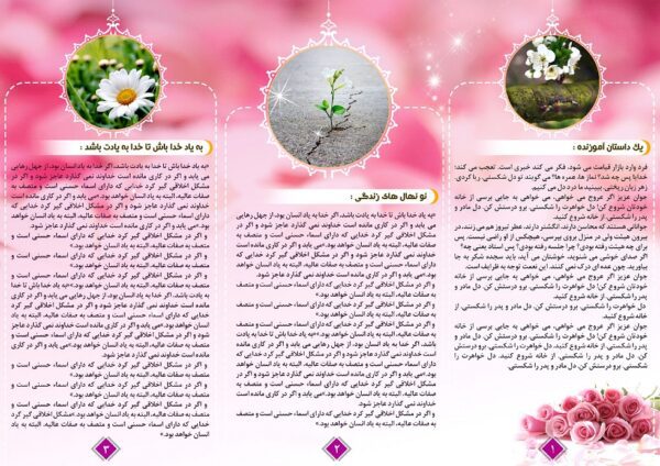 طرح لایه باز بروشور تاشو صورتی psd برای چاپ و طراحی بروشور لایه باز تاشو