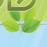 قالب لایه باز مجله خانواده سبز psd قالب لایه باز مجله خانواده سبز psd برای چاپ و طراحی طرح لایه باز مجله ونشریه