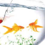 طرح لایه باز جلد کتاب زندگی PSD برای چاپ و طراحی جلد کتاب لایه باز