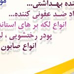 پوستر لایه باز فروشگاه مواد غذایی یاس psd برای چاپ و طراحی پوستر فروشگاه مواد غذایی
