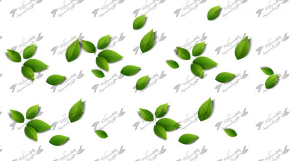 طرح برگ سبز لایه باز برجسته psd برای چاپ و طراحی وکتور و عنصر گرافیکی لایه باز